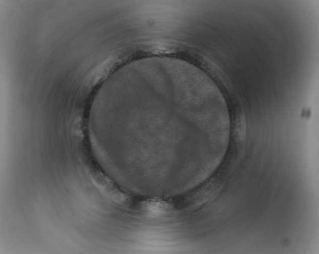 X0000113940512200910231946