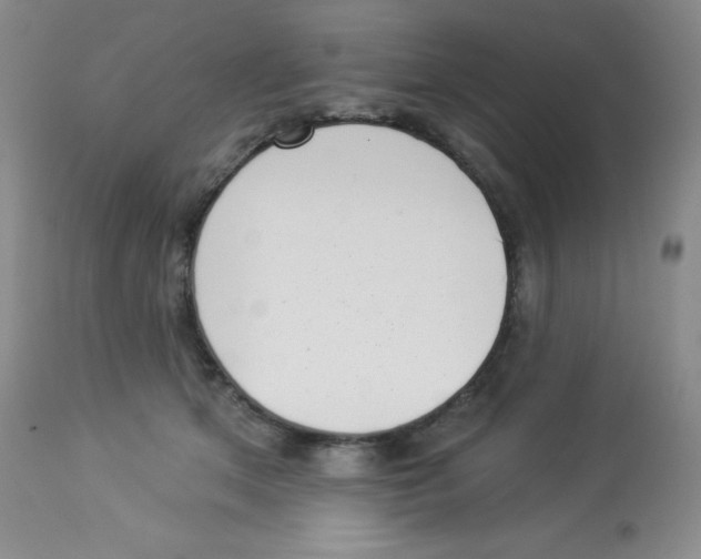 X0000113940513200910231946