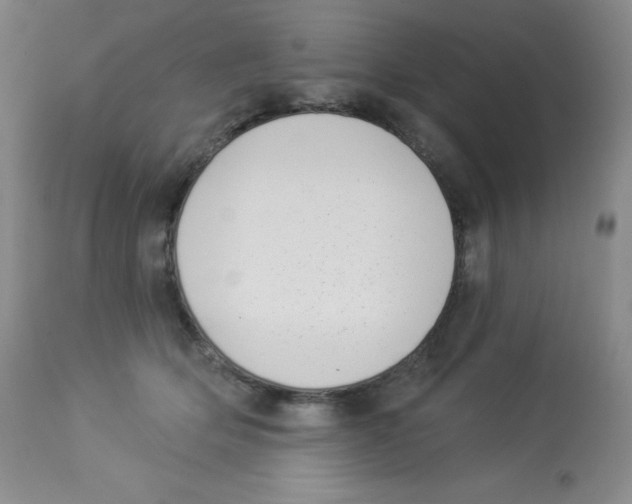 X0000113940514200910231946