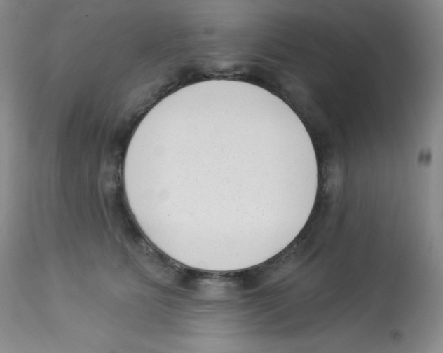 X0000113940515200910231946