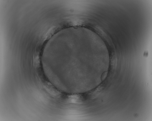 X0000113940516200910231946