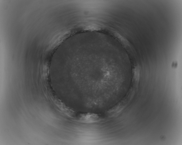 X0000113940517200910231946