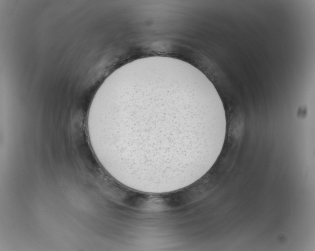X0000113940518200910231946