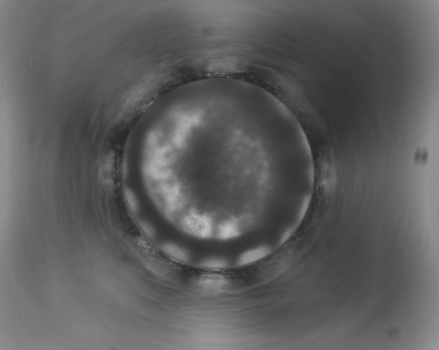 X0000113940519200910231946