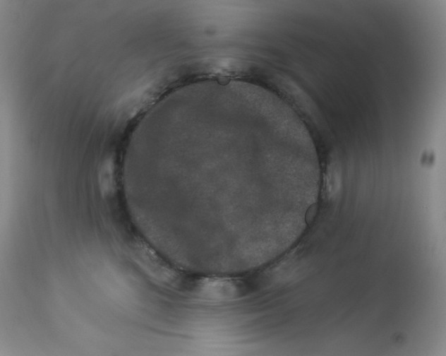 X0000113940520200910231946
