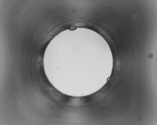 X0000113940521200910231946