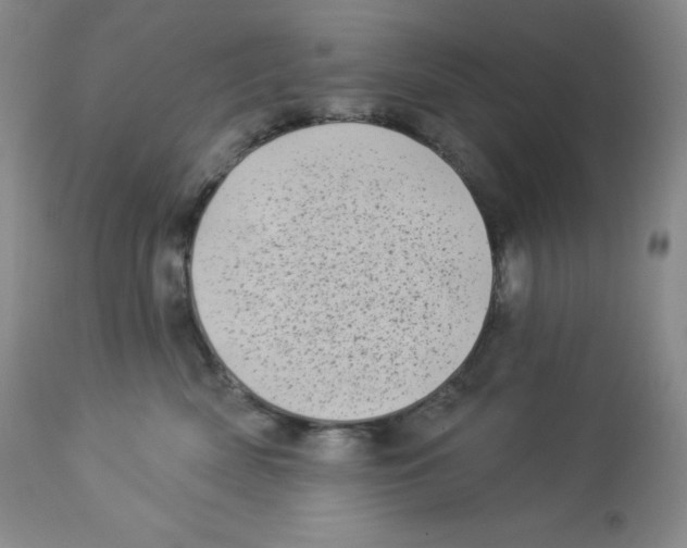 X0000113940522200910231946