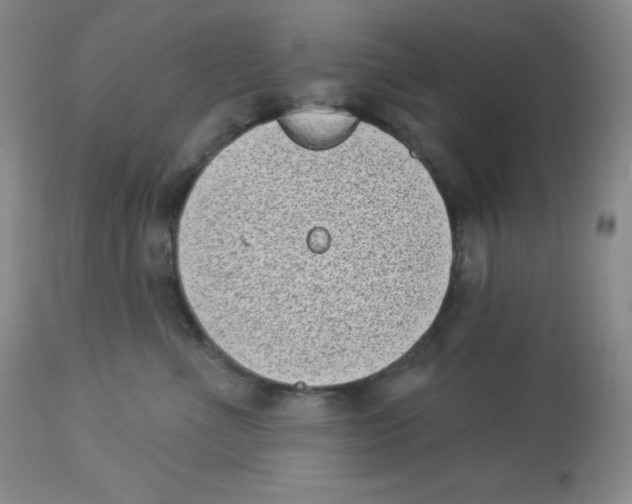 X0000113940523200910231946