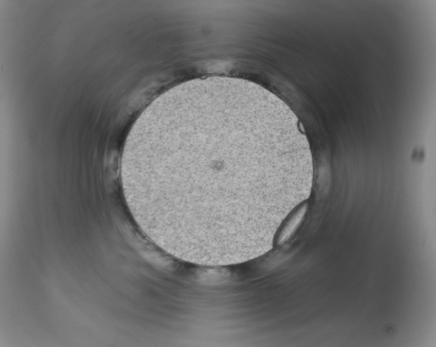 X0000113940525200910231946