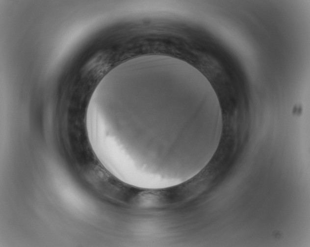 X0000113940526200910231946