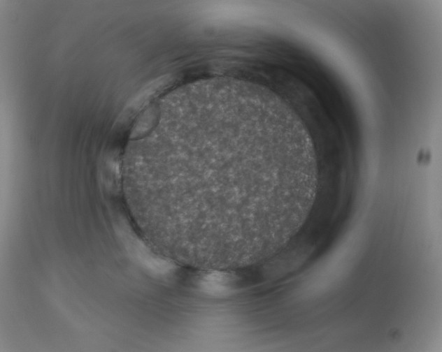 X0000113940527200910231946