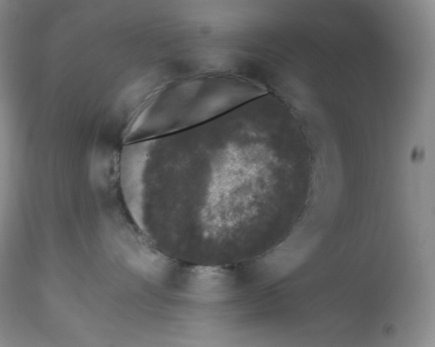 X0000113940528200910231946
