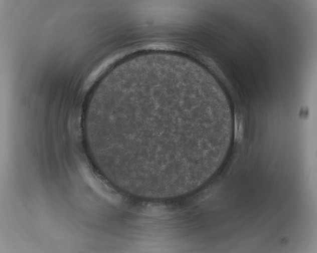 X0000113940531200910231946