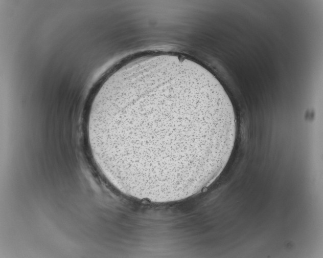 X0000113940532200910231946