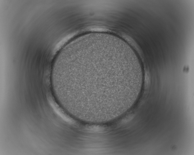 X0000113940533200910231946