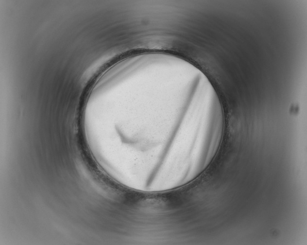 X0000113940536200910231946