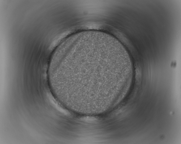 X0000113940537200910231946