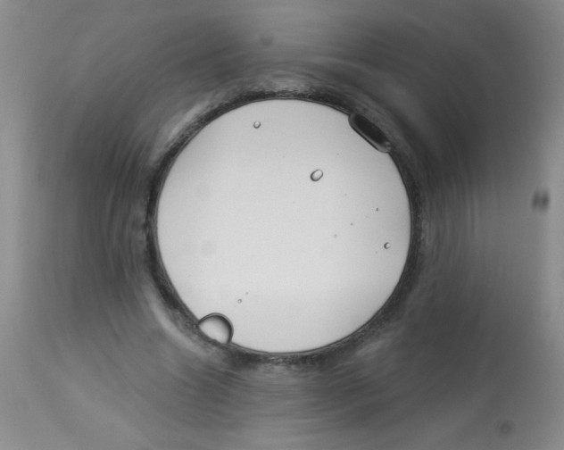 X0000113940538200910231946
