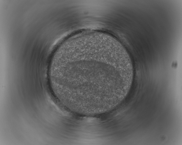 X0000113940539200910231946