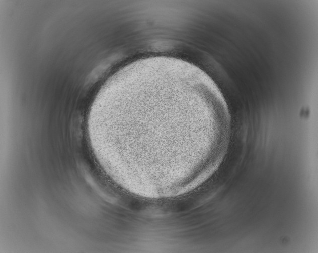 X0000113940542200910231946