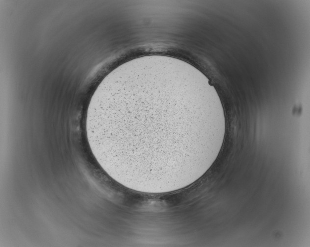 X0000113940543200910231946