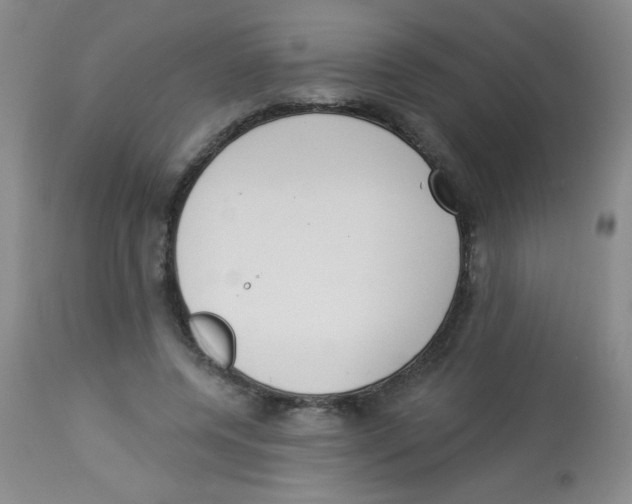 X0000113940544200910231946