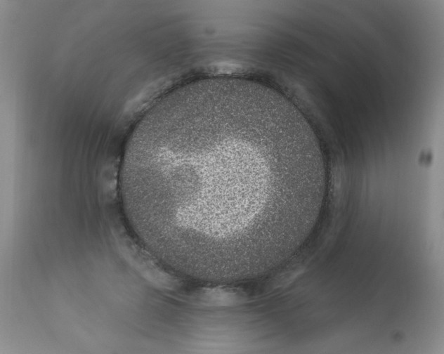 X0000113940545200910231946