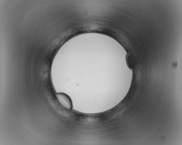 X0000113940546200910231946