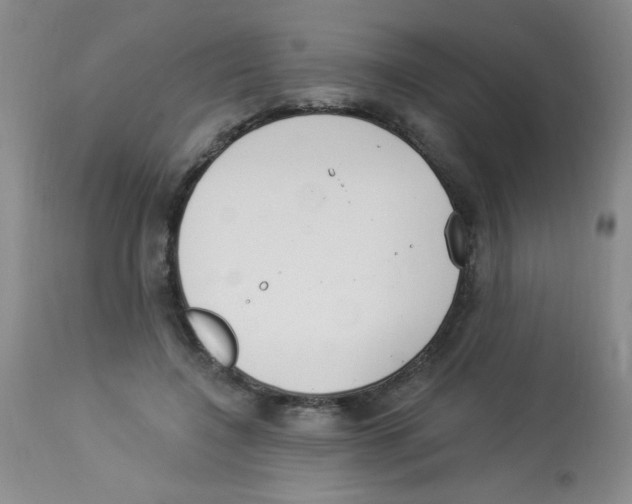 X0000113940548200910231946