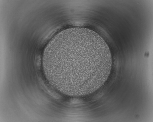 X0000113940549200910231946