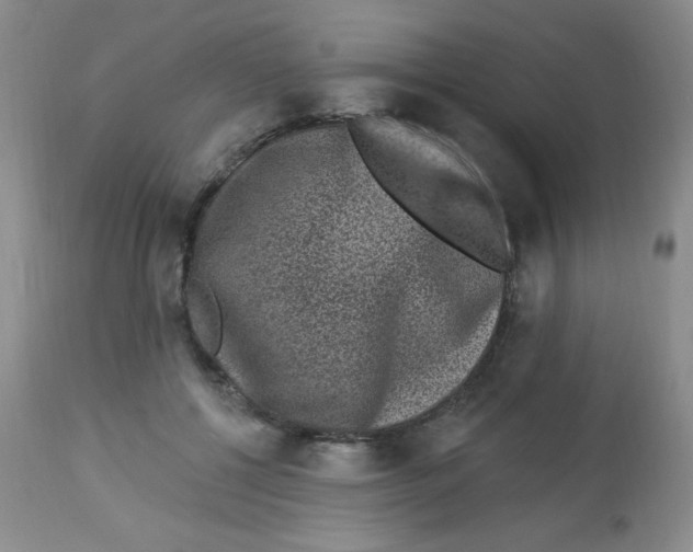 X0000113940552200910231946