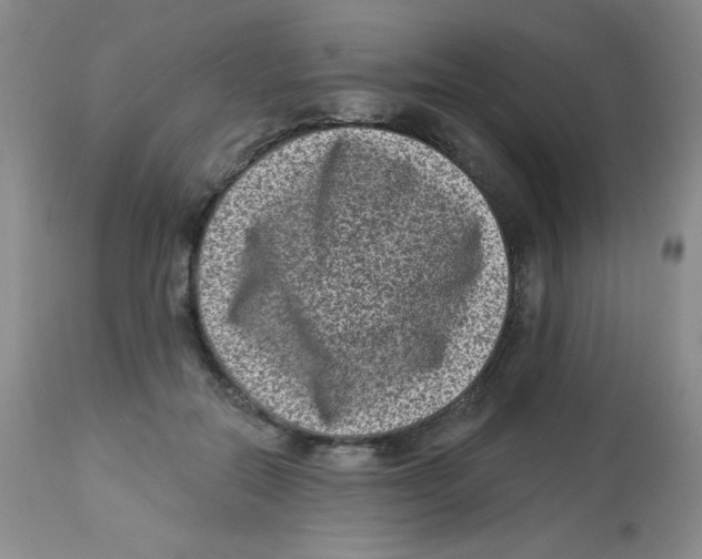 X0000113940554200910231946