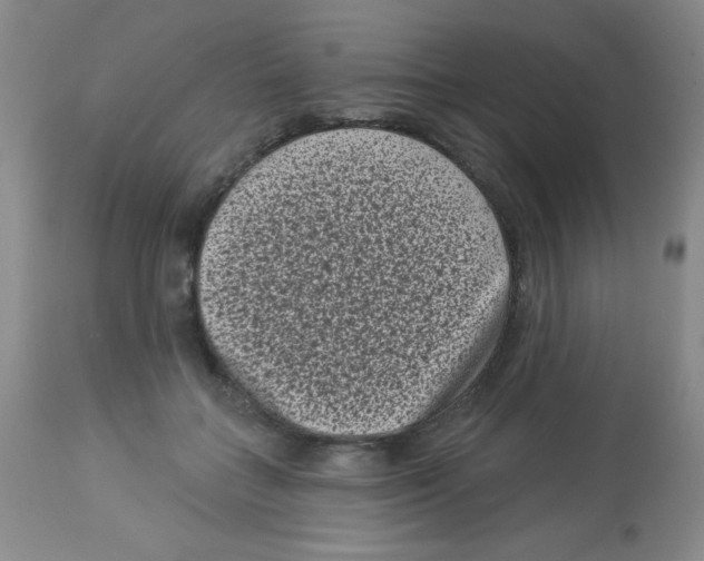X0000113940555200910231946