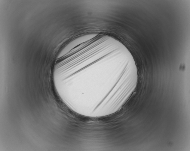 X0000113940556200910231946