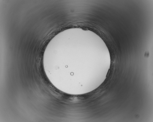 X0000113940558200910231946