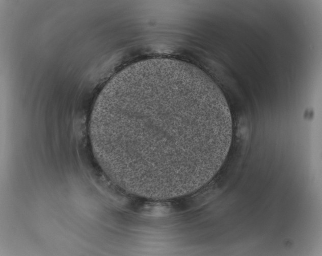 X0000113940559200910231946