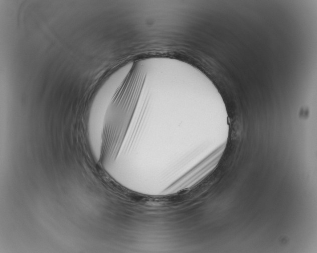 X0000113940560200910231946