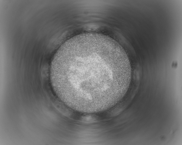 X0000113940561200910231946