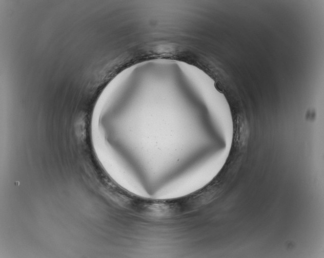 X0000113940562200910231946