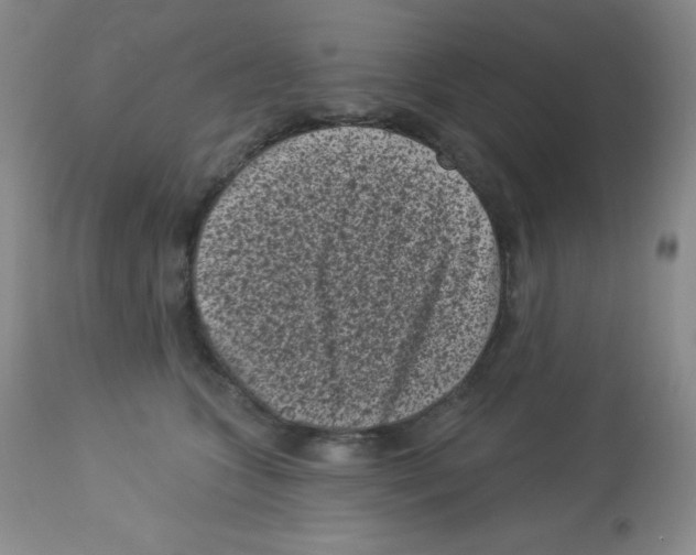 X0000113940563200910231946