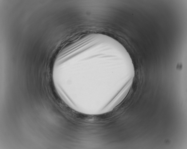 X0000113940564200910231946