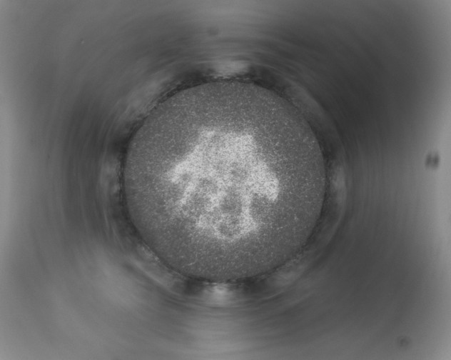 X0000113940565200910231946