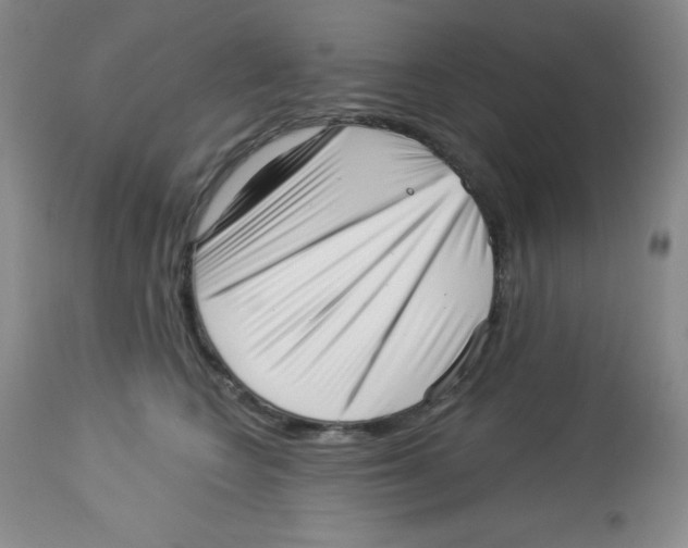 X0000113940566200910231946