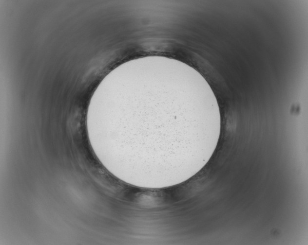 X0000113940567200910231946