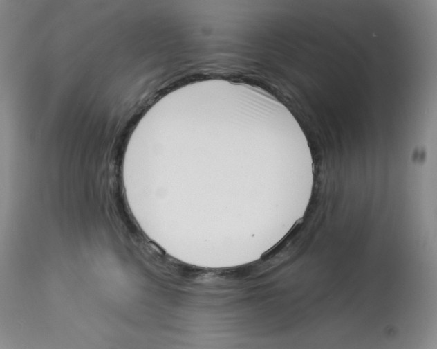 X0000113940568200910231946