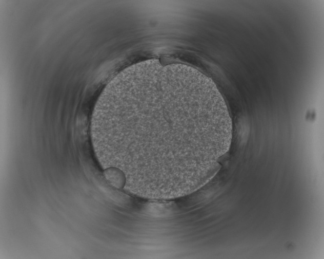 X0000113940571200910231946