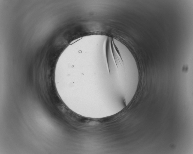 X0000113940572200910231946