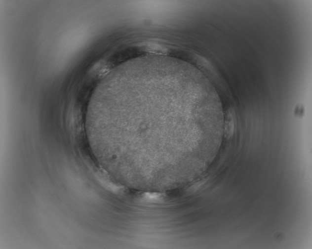X0000113940573200910231946