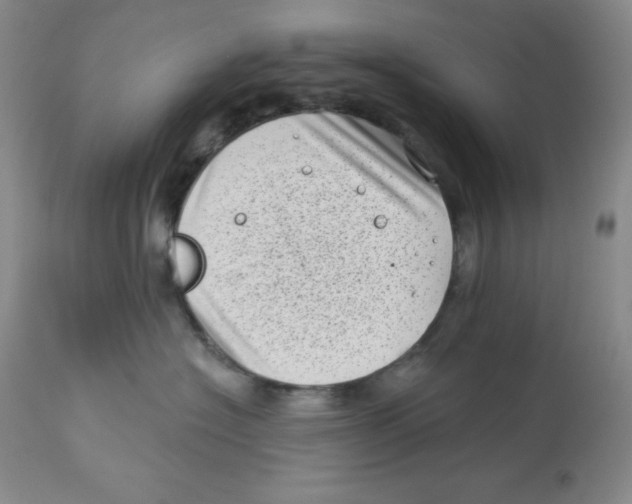 X0000113940574200910231946