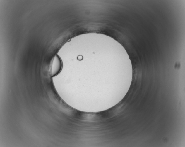 X0000113940575200910231946